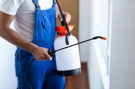 Best Residential Pest Control  in Comer, GA